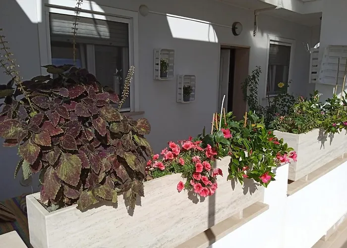 La Casa Di Elena * Sannicandro di Bari