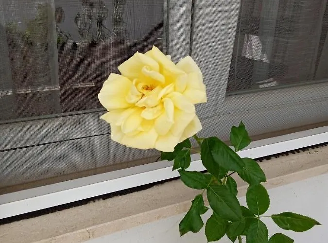 La Casa Di Elena Appartement Sannicandro di Bari