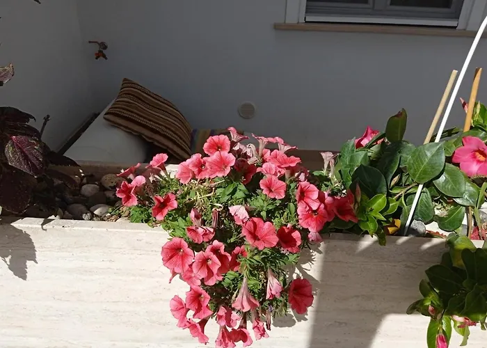 La Casa Di Elena Appartement